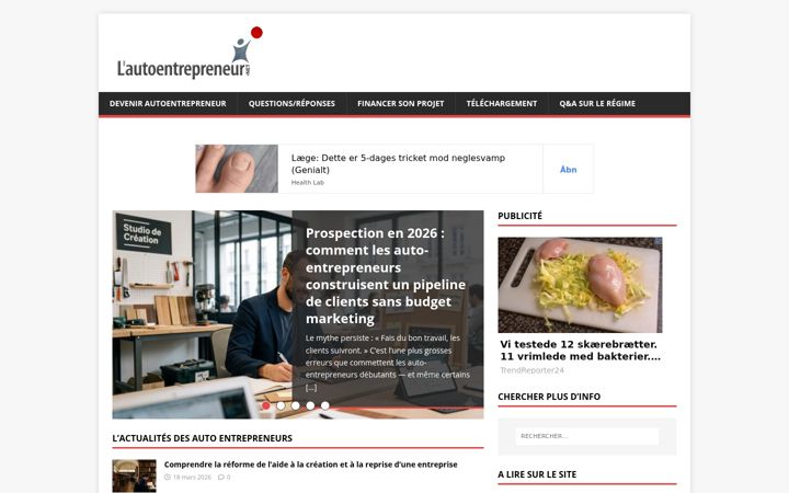 Screenshot of lautoentrepreneur.net