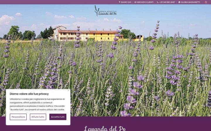Screenshot of lavandadelpo.it