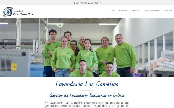 Screenshot of lavanderialascamelias.com