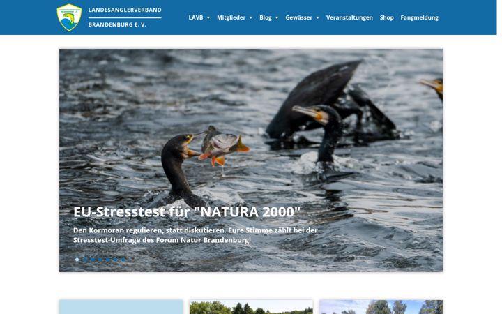 Screenshot of lavb.de