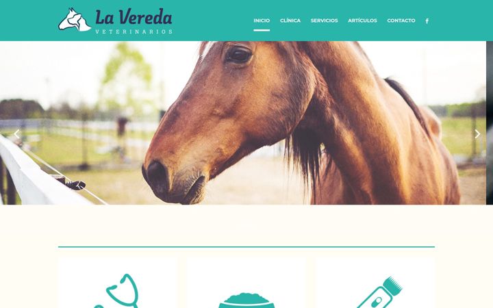 Screenshot of lavereda.es