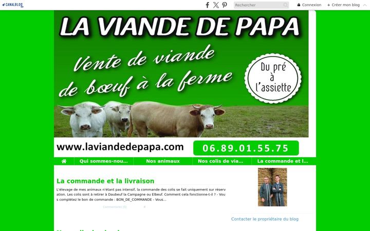 Screenshot of laviandedepapa.com