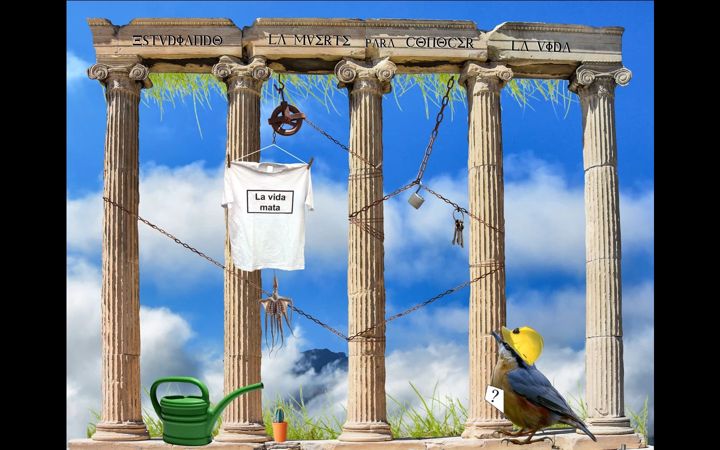 Screenshot of lavidamata.xyz
