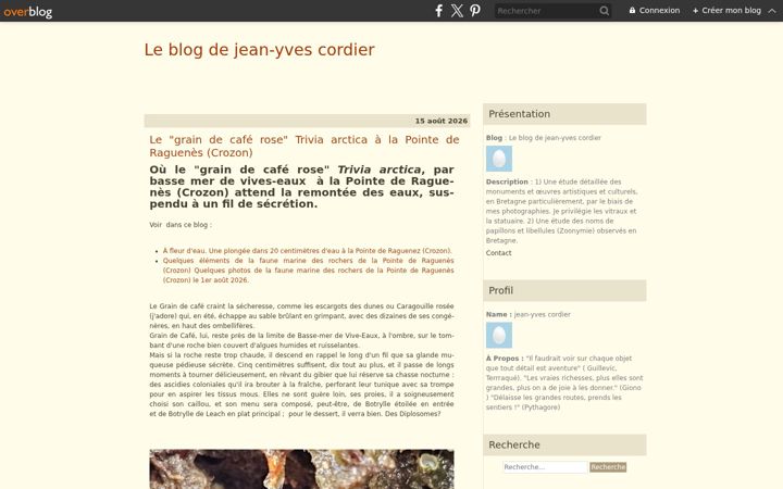 Screenshot of lavieb-aile.com
