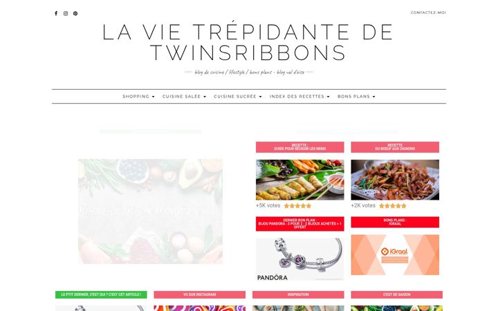 Screenshot of lavietrepidantedetwinsribbons.fr