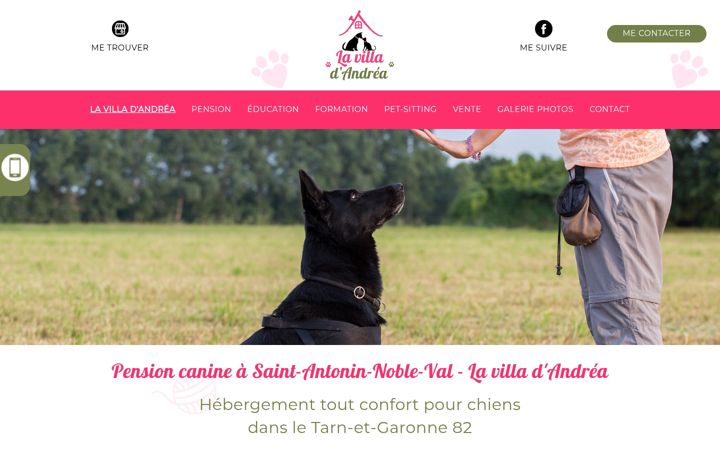 Screenshot of lavilladandrea.fr