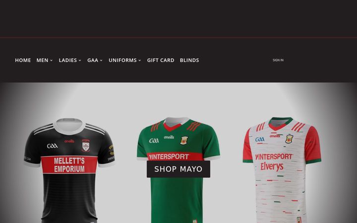 Screenshot of lavinsofswinford.com