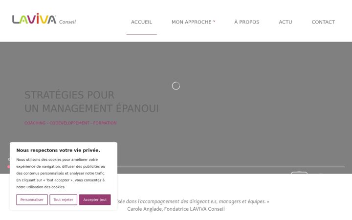 Screenshot of laviva-conseil.fr