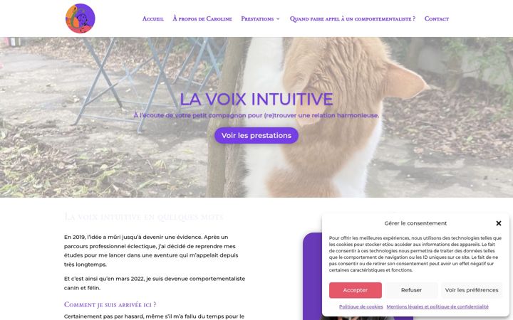 Screenshot of lavoixintuitive.fr