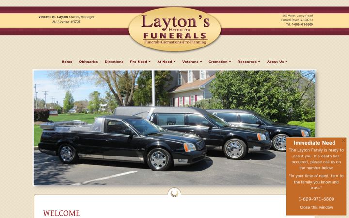 Screenshot of laytons.net