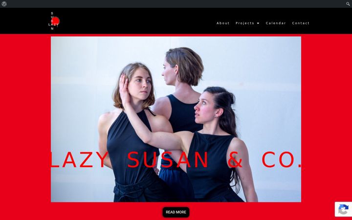 Screenshot of lazysusanco.com