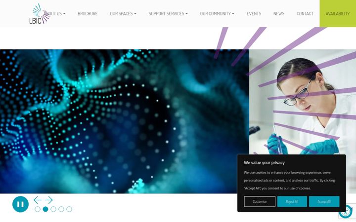 Screenshot of lbic.com
