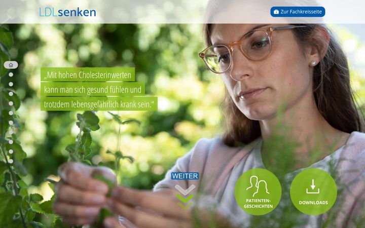 Screenshot of ldl-senken.de