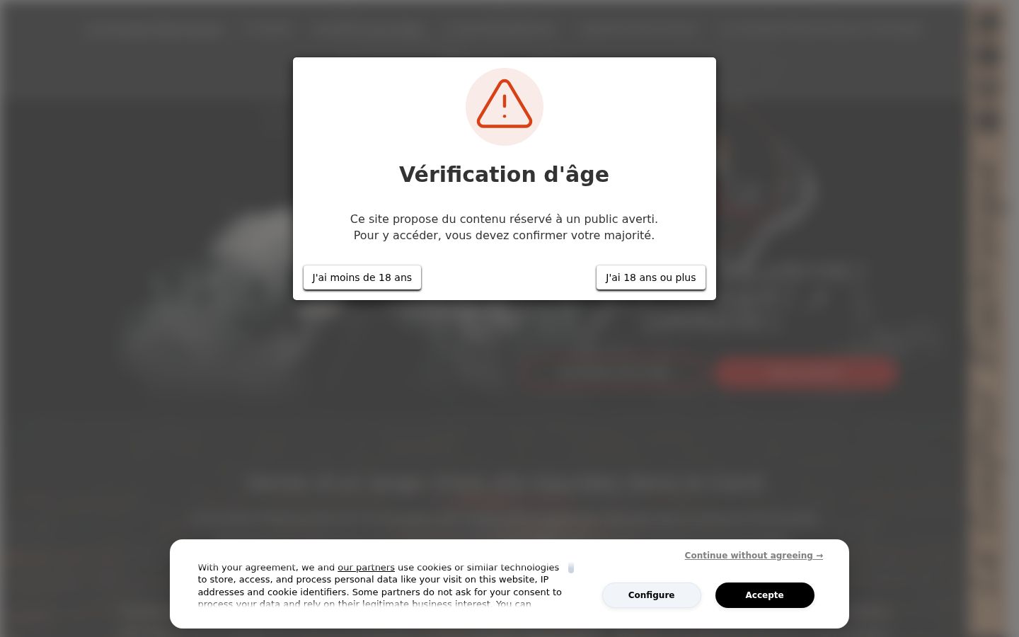 Screenshot del banner di consenso mostrato prima di qualsiasi interazione