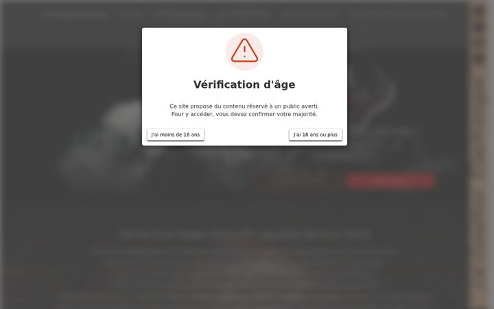 Screenshot of le-comptoir-electronique.fr