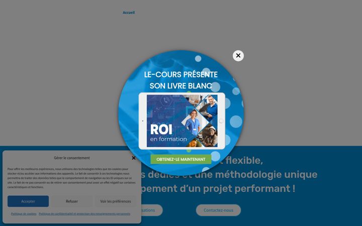 Screenshot of le-cours.ca
