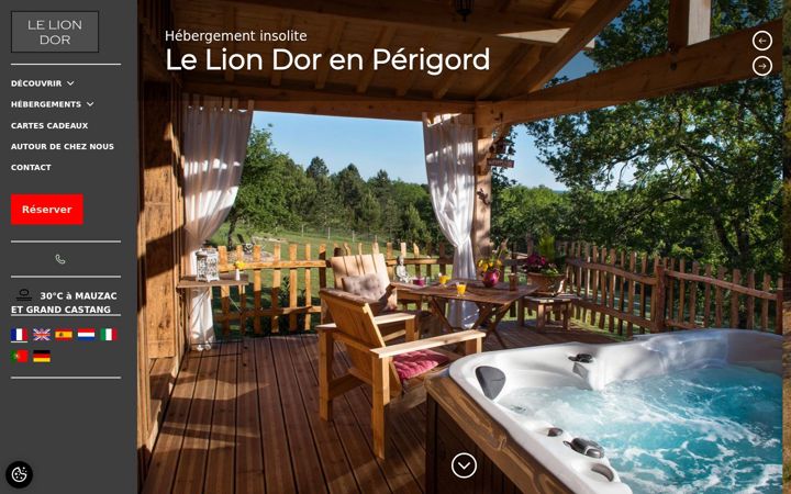 Screenshot of le-lion-dor.com