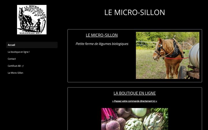 Screenshot of le-micro-sillon.fr
