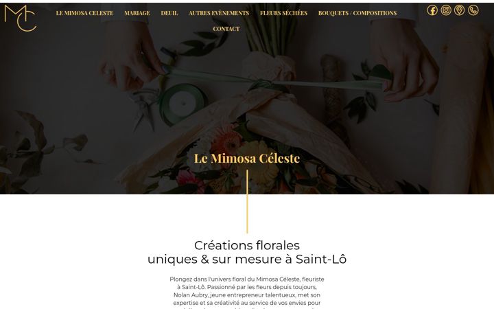 Screenshot of le-mimosa-celeste.fr