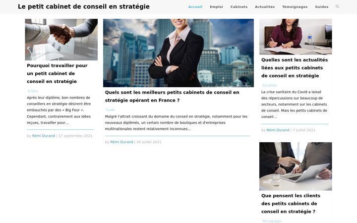 Screenshot of le-petit-cabinet-de-conseil-en-strategie.fr