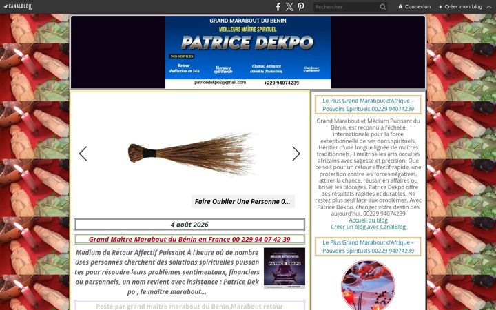 Screenshot of le-plus-grand-medium-du-benin-en-france.com