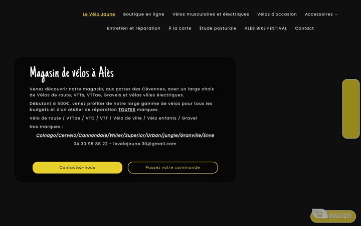 Screenshot of le-velo-jaune-ales.fr