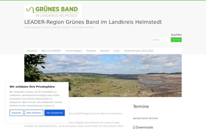 Screenshot of leader-gruenes-band.de