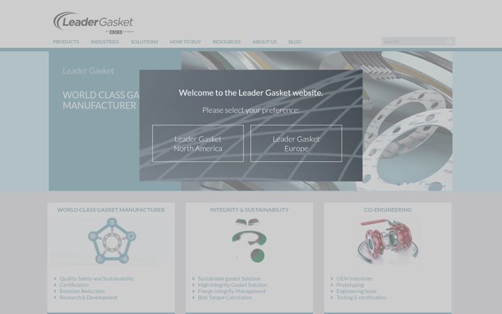 Screenshot of leadergt.sk