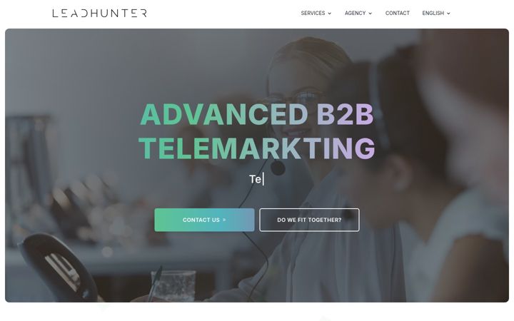 Screenshot of leadhunter.com