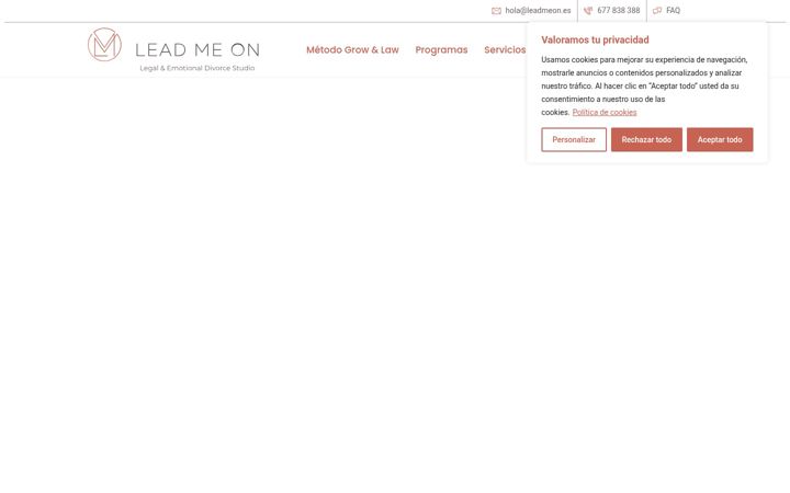 Screenshot of leadmeon.es