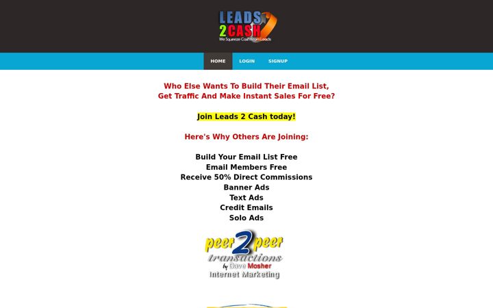 Screenshot of leads2cash.systems