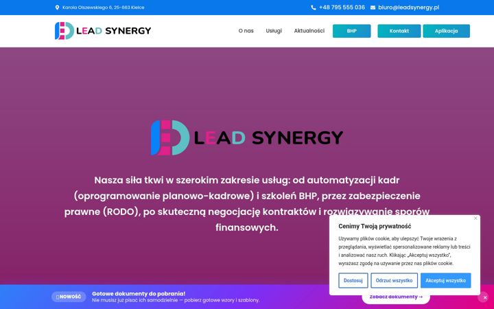 Screenshot of leadsynergy.pl