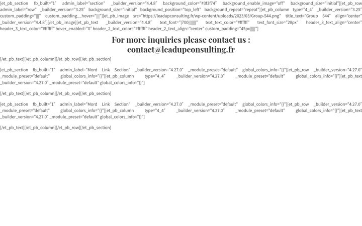 Screenshot of leadupconsulting.fr