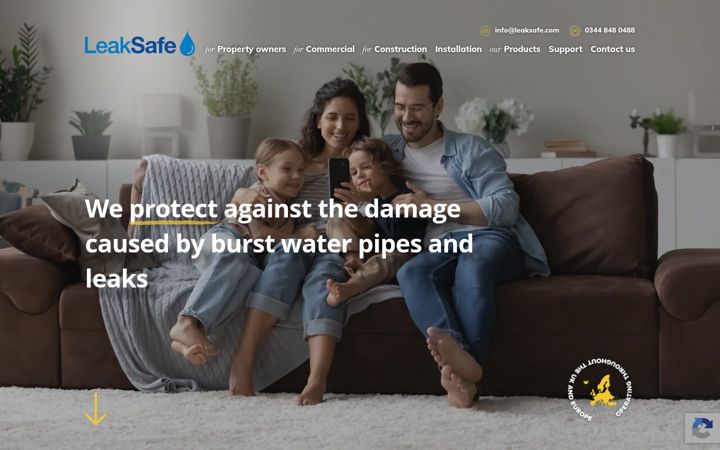 Screenshot of leaksafe.com