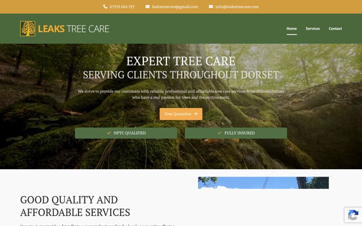 Ekrano kopija leakstreecare.com