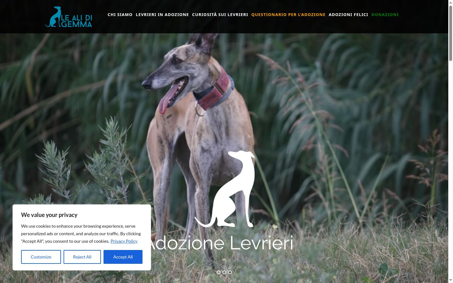 Sutikimo reklamjuostės, rodytos prieš bet kokią sąveiką, ekrano kopija