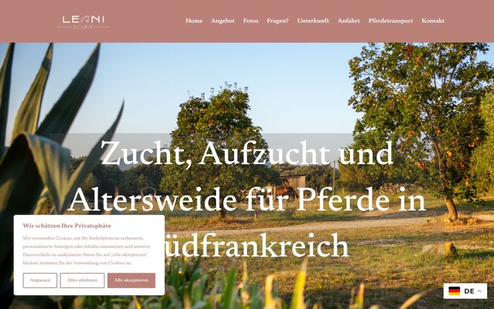 Screenshot of leani.fr