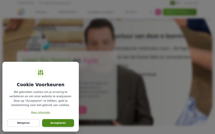 Screenshot of leansixsigmagroep.nl