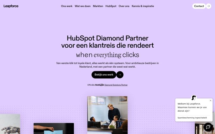 Skjermbilde av leapforce.nl