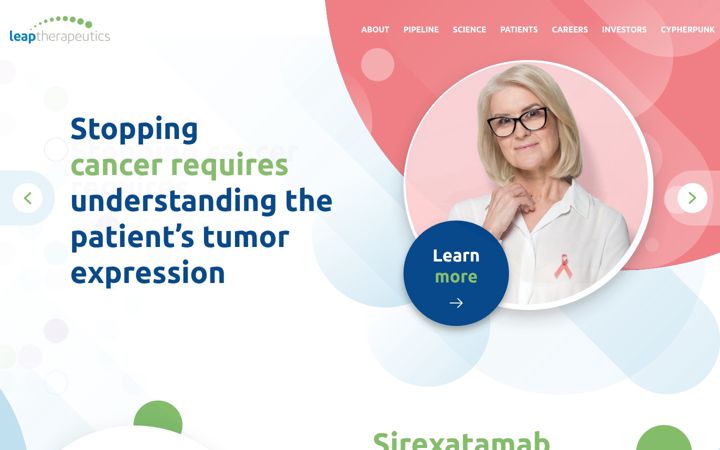 Screenshot of leaptx.com