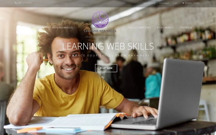 Screenshot of learningwebskills.com