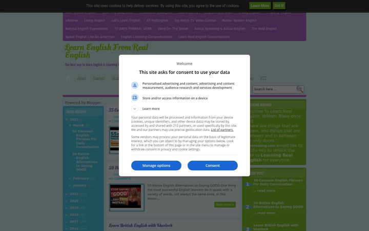 Screenshot of learnrealeng.com