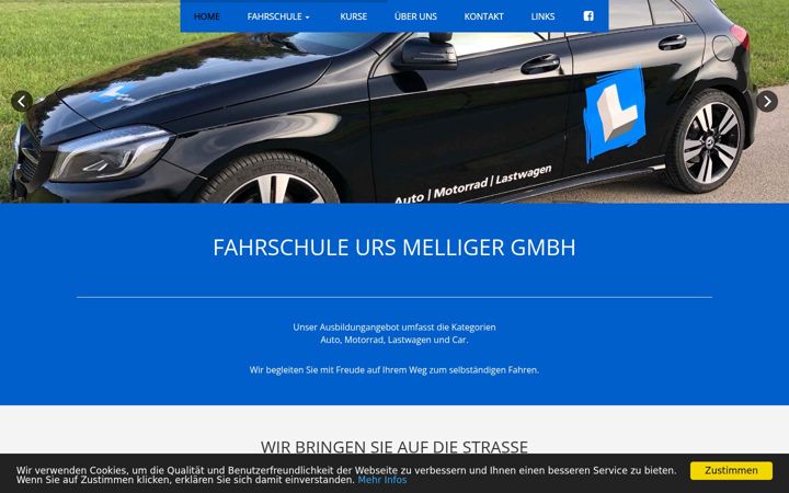 Screenshot of learntodrive.ch