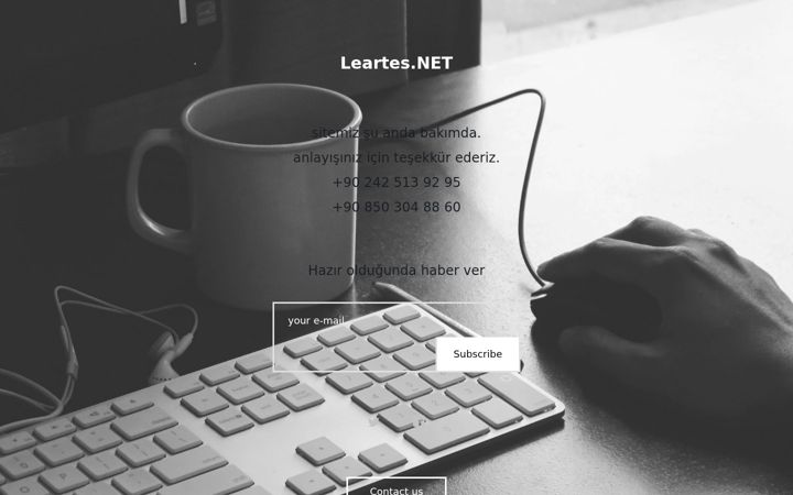 Screenshot of leartes.net