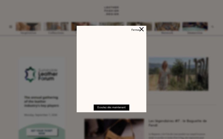 Screenshot of leatherfashiondesign.fr