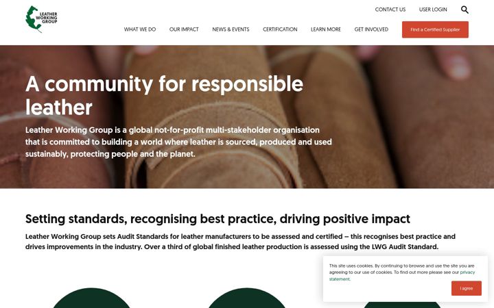 Screenshot of leatherworkinggroup.com