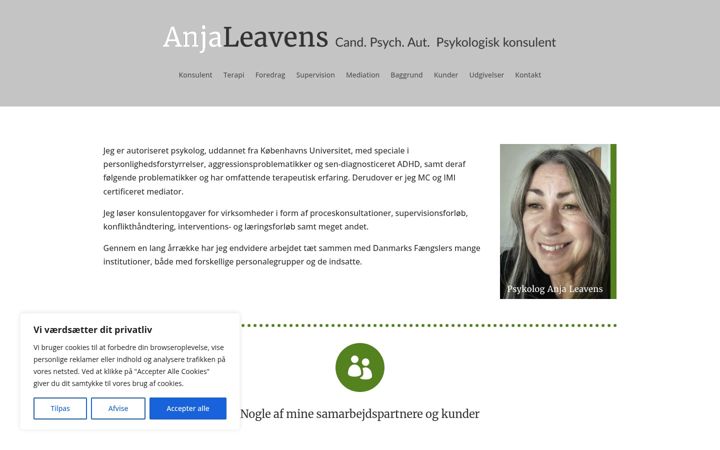 Screenshot of leavens.dk