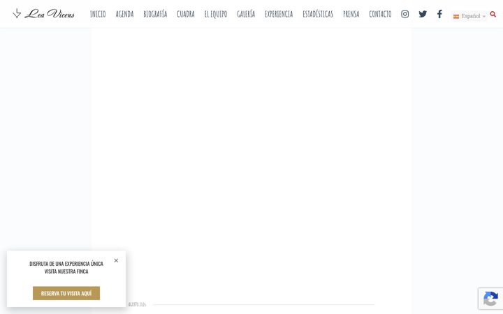 Screenshot of leavicens.com