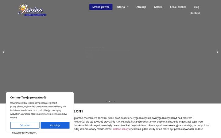 Screenshot of leba-janina.pl