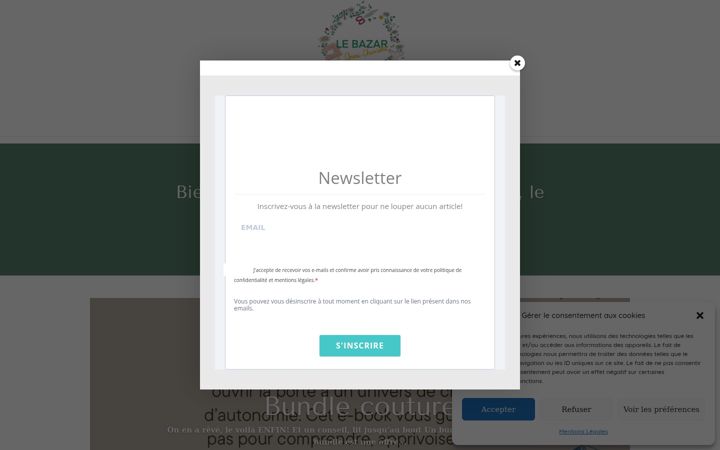 Screenshot of lebazardannecharlotte.fr